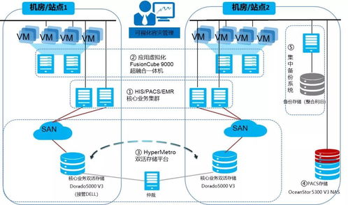 在数字田野上绽放 从亲民医院看油菜花系统的内容管理智慧